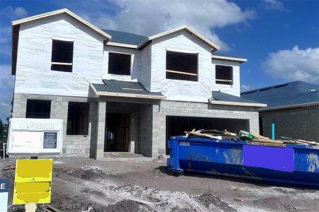 New construction Single-Family house 2571 Great Heron Avenue, Saint Cloud, FL 34771 - photo 1 1