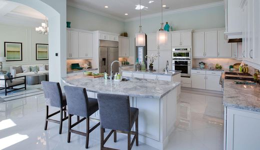 Canopy Creek by Kolter Homes in Palm City - photo 31