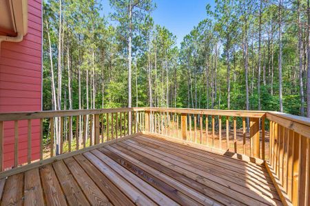 New construction Single-Family house 219 Belington Circle, Jackson, GA 30233 - photo 41 41