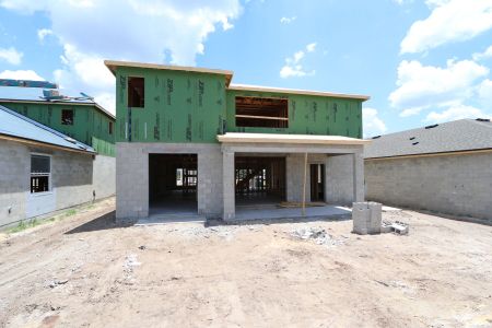 New construction Single-Family house 31801 Sapna Chime Drive, Wesley Chapel, FL 33545 Alenza- photo 20 20