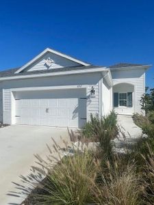 New construction Single-Family house 4767 Willow Bend Avenue, Parrish, FL 34219 - photo 0