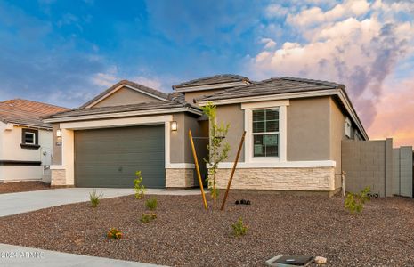 New construction Single-Family house 6753 W Molly Lane, Peoria, AZ 85383 - photo 3 3
