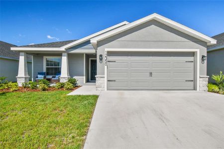 New construction Single-Family house 12350 Terrace Bluff Street, Riverview, FL 33579 - photo 6 6