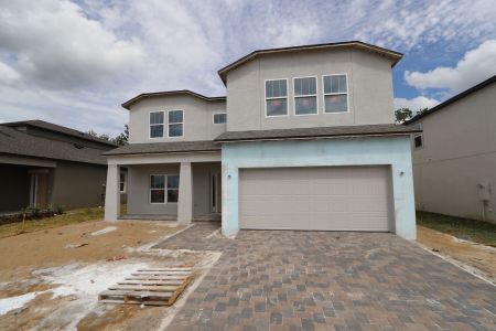 New construction Single-Family house 12114 Hilltop Farms Drive, Dade City, FL 33525 Alenza- photo 108 108