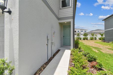 New construction Townhouse house 32431 Limitless Place, Wesley Chapel, FL 33545 Windsor- photo 5 5