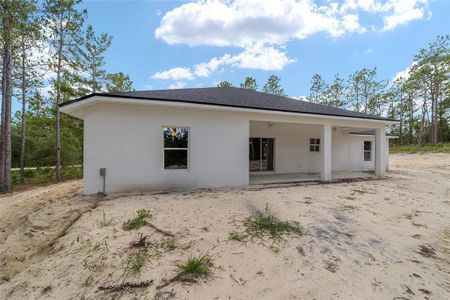 New construction Single-Family house 13359 Sw 80Th Street, Dunnellon, FL 34432 - photo 34 34
