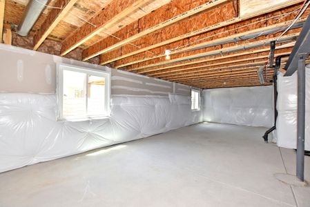 New construction Single-Family house 437 Vivid Lane, Windsor, CO 80550 - photo 36 36