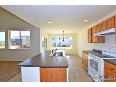 New construction Single-Family house 2333 Graceful St, Windsor, CO 80550 The New Jersey- photo 15 15