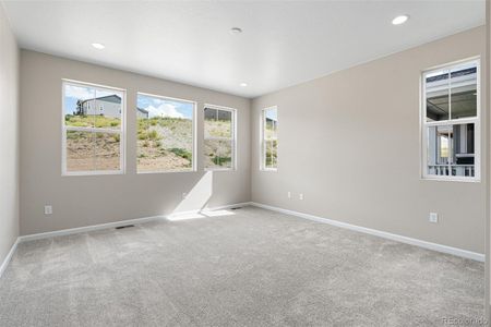 New construction Single-Family house 3648 Rucksack Court, Castle Rock, CO 80108 Alamosa- photo 46 46