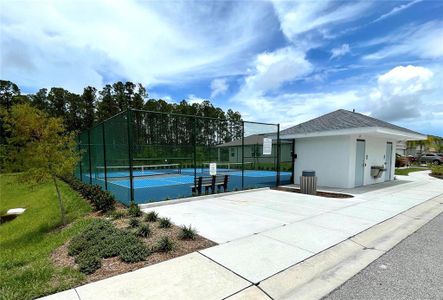 New construction Single-Family house 367 Caryota Court, New Smyrna Beach, FL 32168 - photo 31 31
