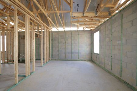 New construction Single-Family house 31843 Sapna Chime Drive, Wesley Chapel, FL 33545 Picasso- photo 34 34