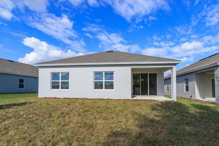 New construction Single-Family house 9125 Cape Cod Road, Deland, FL 32724 Mulberry- photo 10 10