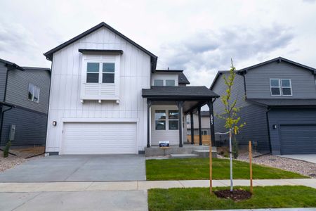 New construction Single-Family house 2963 Barnstormer Street, Fort Collins, CO 80524 Twain- photo 0