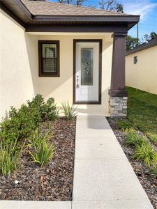 New construction Single-Family house 1443 N River Circle, Tarpon Springs, FL 34689 - photo 2 2