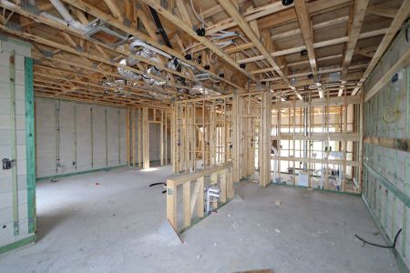 New construction Single-Family house 5238 Currant Street, Lakeland, FL 33811 Marina- photo 18 18