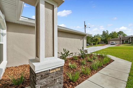 New construction Single-Family house 5409 Idleweise Court, Spring Hill, FL 34606 - photo 11 11