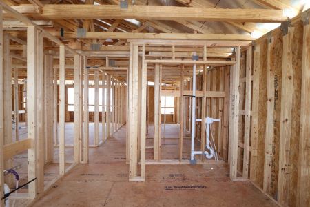New construction Single-Family house 31870 Sapna Chime Drive, Wesley Chapel, FL 33545 Casanova- photo 29 29