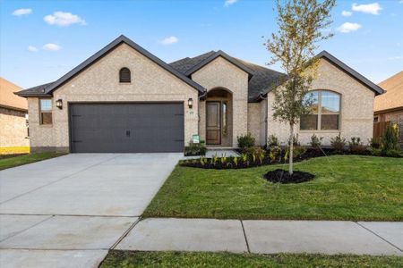 New construction Single-Family house 1746 Chestnut Oak Court, Waxahachie, TX 75165 Raleigh- photo 0