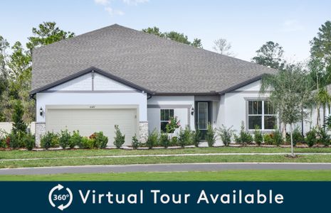 New construction Single-Family house 12047 Orchid Ash Street, Riverview, FL 33579 - photo 23 23