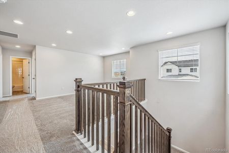 New construction Single-Family house 2608 Colony Court, Erie, CO 80026 Coral II - photo 6 6