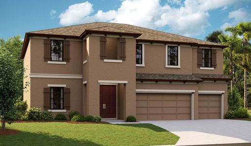 New construction Single-Family house 6131 Hidden Branch Drive, Apollo Beach, FL 33572 Virginia Park- photo 1 1