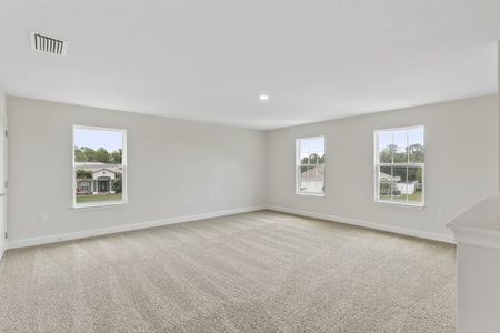 New construction Single-Family house 504 Viceroy Ct, Kissimmee, FL 34758 - photo 27 27