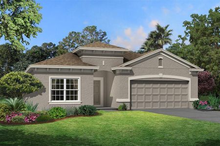 New construction Single-Family house 5085 Bromeliad Drive, Wimauma, FL 33598 - photo 0 0