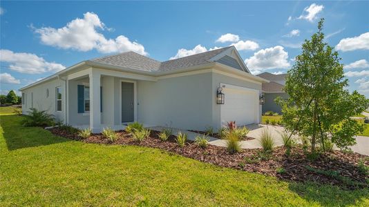 New construction Single-Family house 14539 Skipping Stone Loop, Parrish, FL 34219 - photo