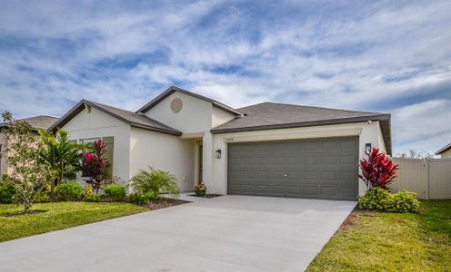 New construction Single-Family house 5490 Blue Azure Drive, Wimauma, FL 33598 - photo 3 3