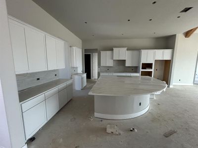 New construction Single-Family house 1304 Shelby Ln, Georgetown, TX 78628 Mallory- photo 3 3