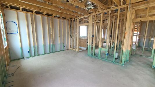 New construction Single-Family house 919 Pinyon Pine Pass, Hutto, TX 78634 Livingston- photo 20 20