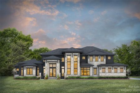 New construction Single-Family house 611 Wisteria Vines Trail, Fort Mill, SC 29708 - photo 0