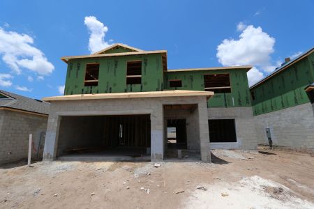 New construction Single-Family house 31801 Sapna Chime Drive, Wesley Chapel, FL 33545 Alenza- photo 40 40