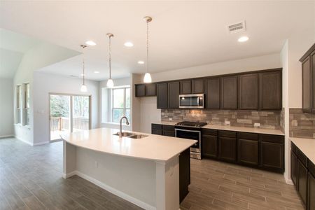 New construction Single-Family house 105 Orchard Park Drive, Liberty Hill, TX 78642 - photo 12 12