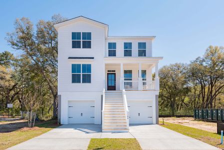 New construction Single-Family house 1062 Capersview Court, Awendaw, SC 29429 Nelson- photo 0