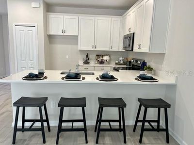 New construction Townhouse house 10821 Quickwater Court, Riverview, FL 33569 - photo 3 3