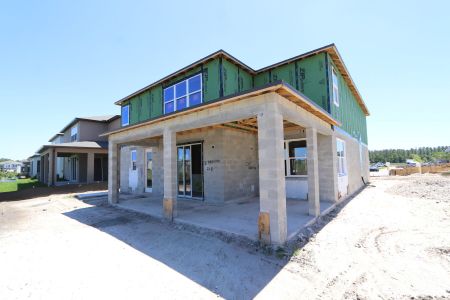 New construction Single-Family house 2522 Sunny Pebble Loop, Zephyrhills, FL 33540 Mira Lago- photo 63 63
