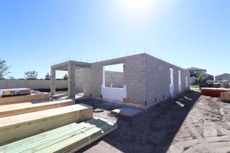 New construction Single-Family house 3077 Misty Marble Drive, Zephyrhills, FL 33540 Castellana- photo 11 11