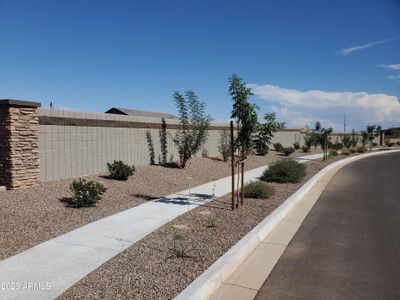 New construction Single-Family house 2822 N Trailridge Lane, Casa Grande, AZ 85122 - photo 4 4