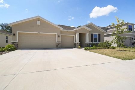 New construction Single-Family house 3787 Autumn Amber Dr, Spring Hill, FL 34609 - photo 1 1
