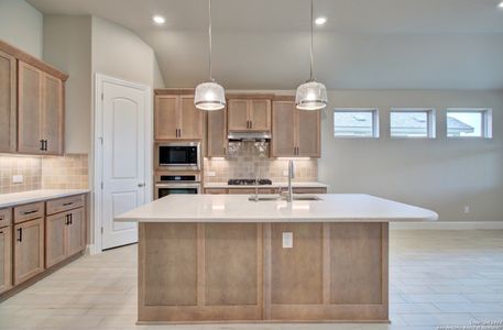 New construction Single-Family house 1659 Dirndl, New Braunfels, TX 78132 Premier Series - Palm- photo 6 6