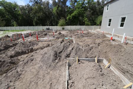 New construction Single-Family house 2530 Sunny Pebble Loop, Zephyrhills, FL 33540 Salinas- photo 5 5
