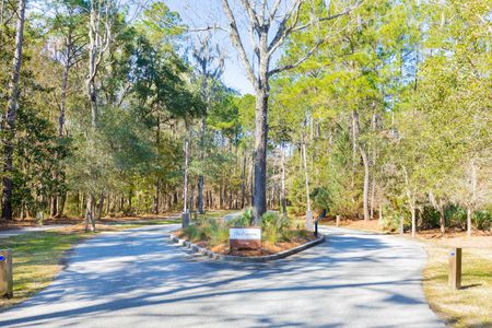 The Preserve at Pennys Creek by Brightwater Homes in Johns Island - photo 7 7