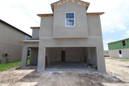 New construction Single-Family house 2463 Sunny Pebble Loop, Zephyrhills, FL 33540 Castellana- photo 75 75