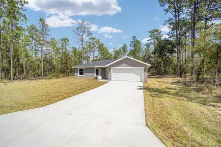 New construction Single-Family house 117 Nw Sparrow Road, Dunnellon, FL 34431 - photo 59 59