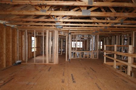 New construction Single-Family house 3024 King Fern Drive, Wimauma, FL 33598 Mira Lago- photo 16 16
