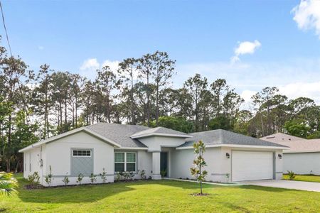 New construction Single-Family house 26 Birchwood Drive, Palm Coast, FL 32137 - photo 1 1