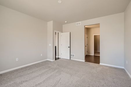 New construction Single-Family house 259 Marlowe Drive, Erie, CO 80516 - photo 15 15