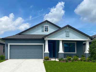New construction Single-Family house Sweetwater, 8259 Tea Olive Terrace, Palmetto, FL 34221 - photo
