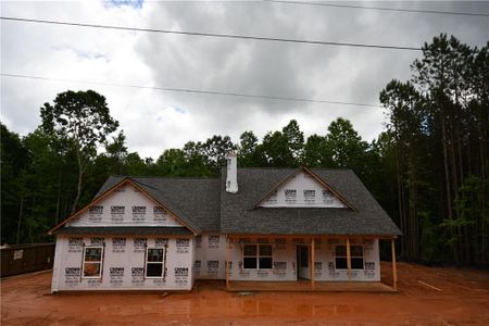 New construction Single-Family house 133 Goldin Rd., Temple, GA 30179 - photo 9 9